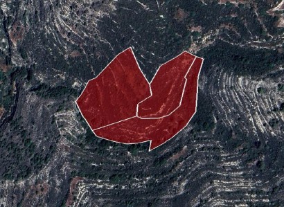 Koilani, Limassol Agricultural Field For Sale | WW30796