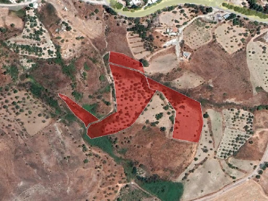 Field - Episkopi, Paphos