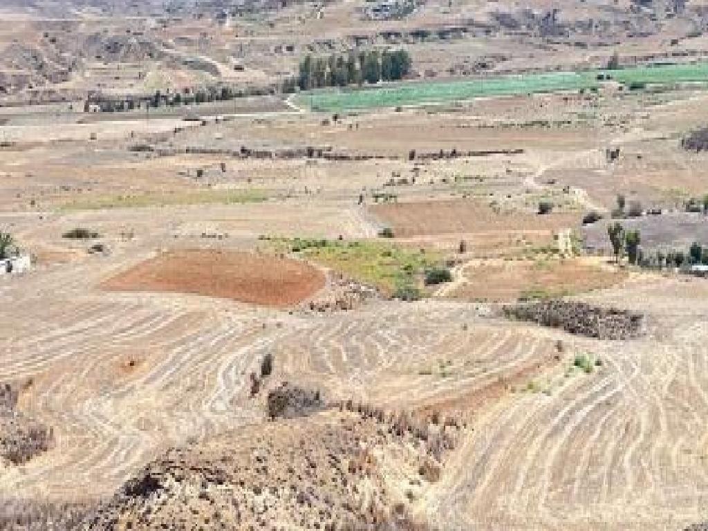 Agioi Trimithias Agricultural Field For Sale | WW30811