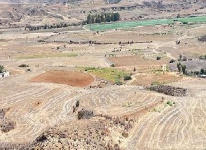 Agioi Trimithias Agricultural Field For Sale | WW30811