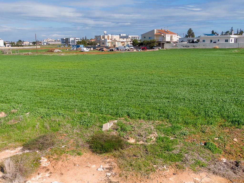 Field - Deryneia, Famagusta