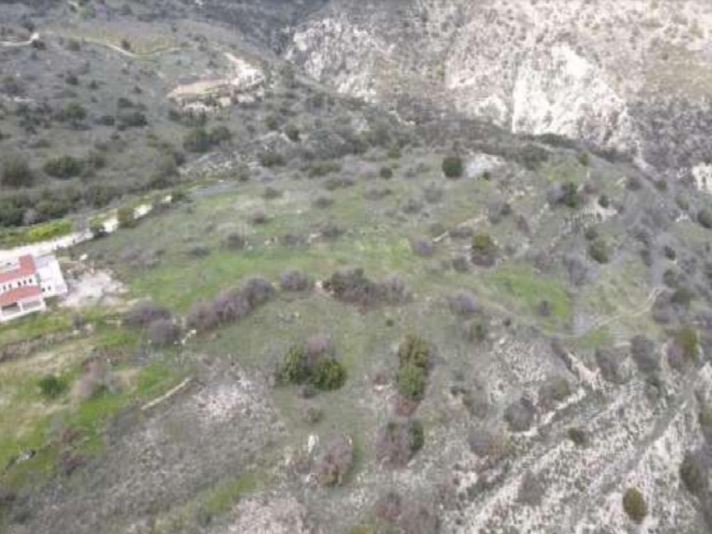 Field - Episkopi, Paphos