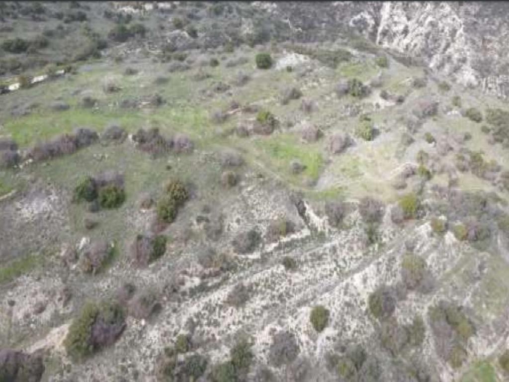 Field - Episkopi, Paphos