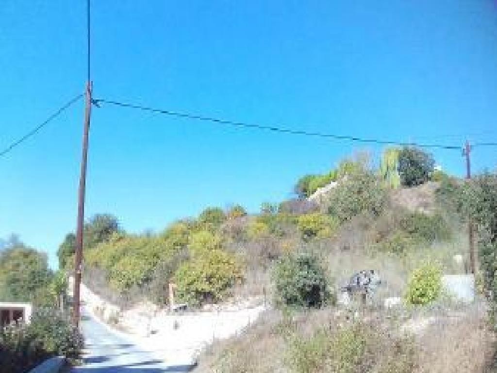 Stroumbi, Paphos Residential Field For Sale | WW30821