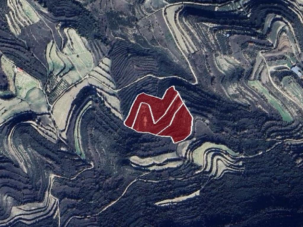 Field - Pachna, Limassol