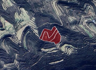 Pachna, Limassol Agricultural Field For Sale | WW30832