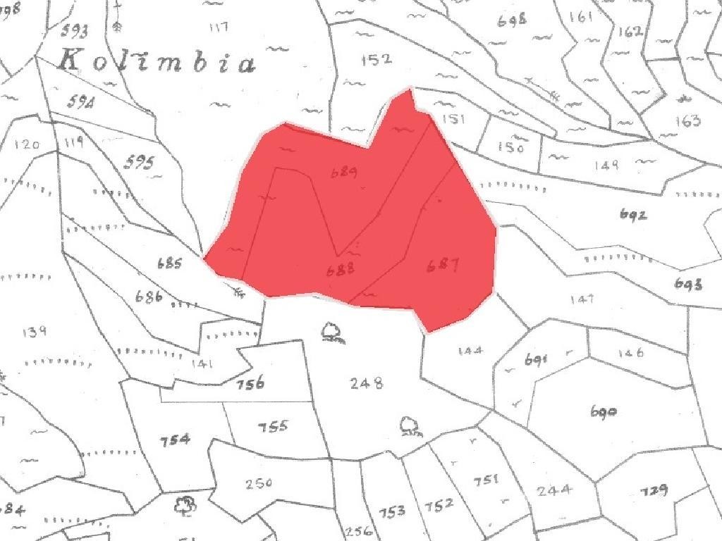 Field - Pachna, Limassol