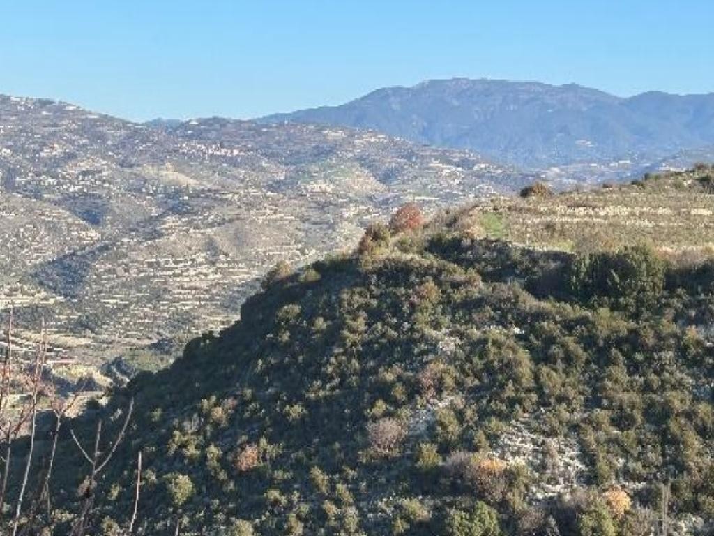 Pachna, Limassol Agricultural Field For Sale | WW30833