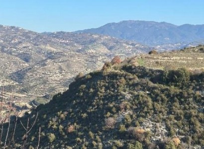 Pachna, Limassol Agricultural Field For Sale | WW30833