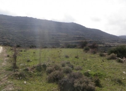 Pachna, Limassol Agricultural Field For Sale | WW30833