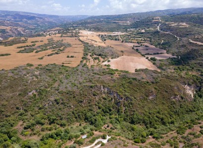 Kritou Tera, Paphos Agricultural Field For Sale | WW30837