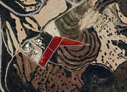 Kritou Tera, Paphos Agricultural Field For Sale | WW30837