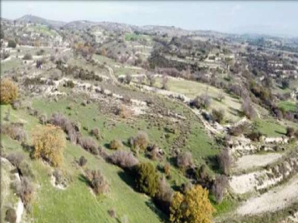 Dora, Limassol Agricultural Field For Sale | WW30838