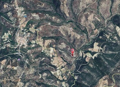 Dora, Limassol Agricultural Field For Sale | WW30838