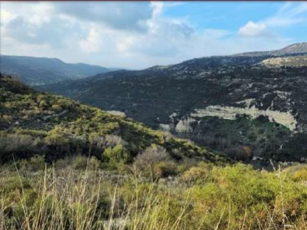 Dora, Limassol Agricultural Field For Sale | WW30839