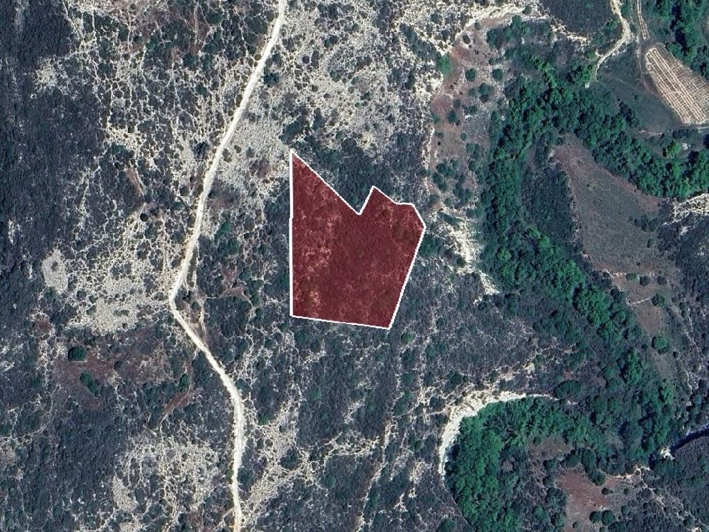 Field - Dora, Limassol