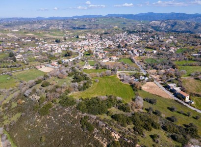 Polemi, Paphos Agricultural Field For Sale | WW30843