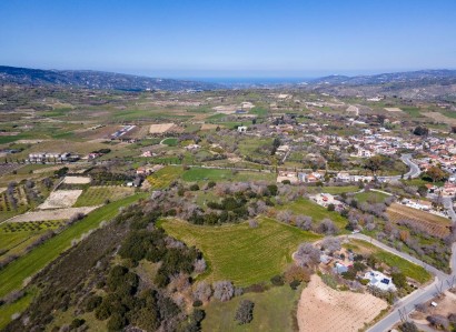 Polemi, Paphos Agricultural Field For Sale | WW30843