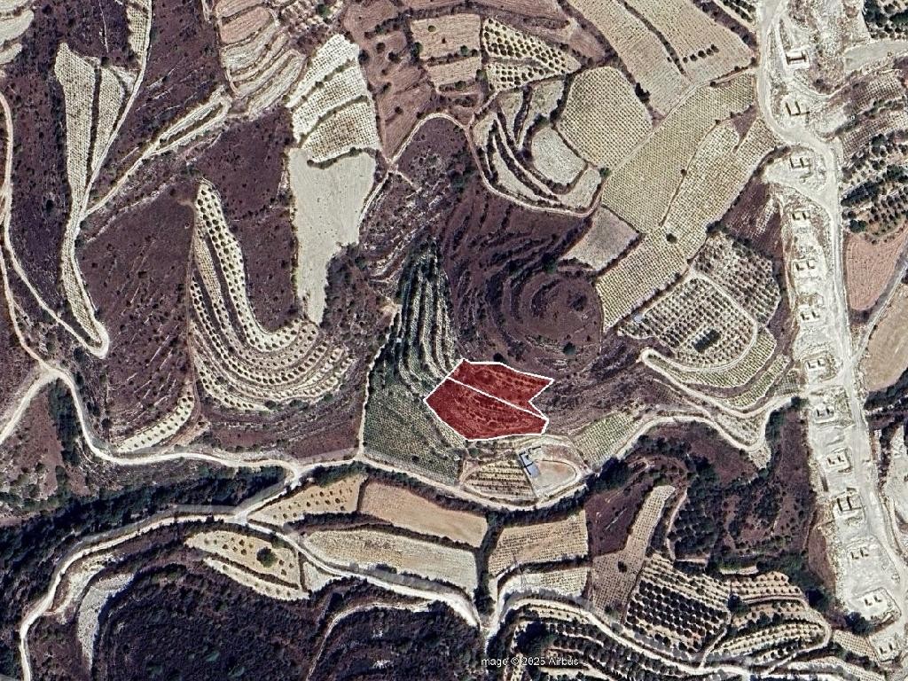 Field - Koili, Paphos