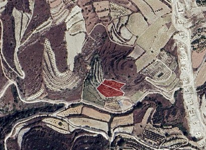 Koili, Paphos Agricultural Field For Sale | WW30863