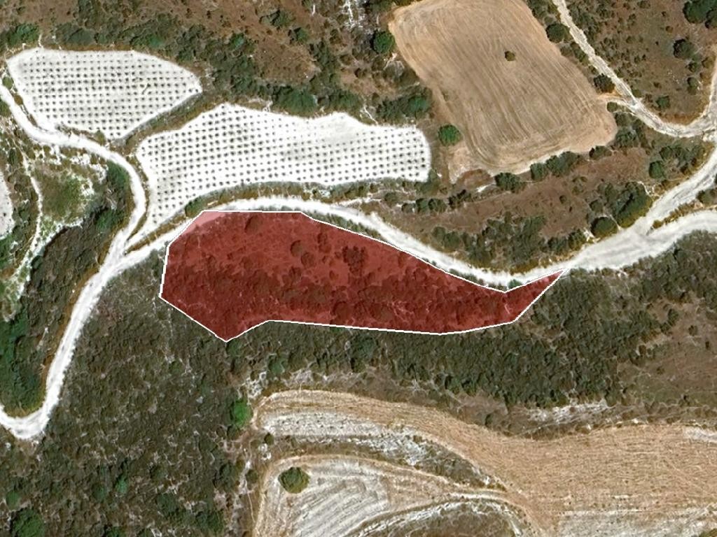 Field - Kelokedara, Paphos