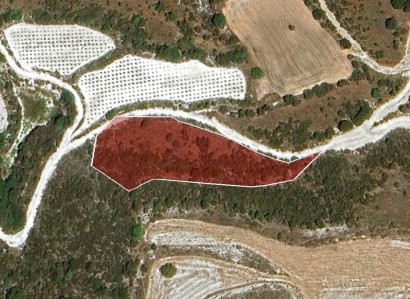Kelokedara, Paphos Agricultural Field For Sale | WW30865