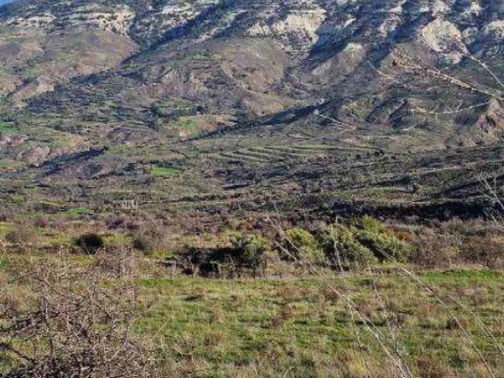Kelokedara, Paphos Agricultural Field For Sale | WW30867
