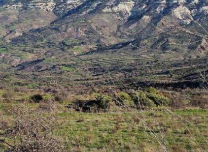 Kelokedara, Paphos Agricultural Field For Sale | WW30867