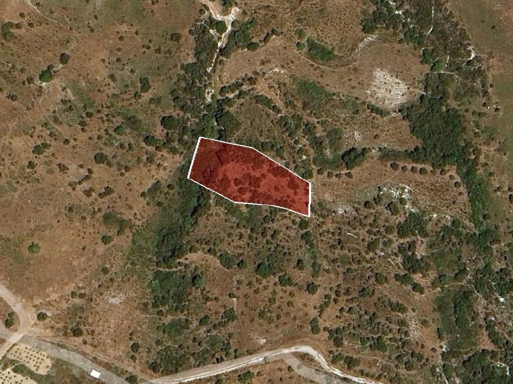 Field - Kelokedara, Paphos