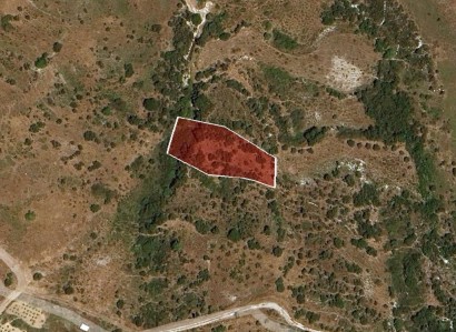 Kelokedara, Paphos Agricultural Field For Sale | WW30867