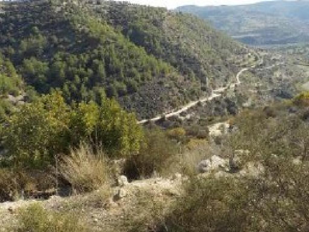 Kallepeia, Paphos Agricultural Field For Sale | WW30884