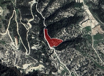 Kallepeia, Paphos Agricultural Field For Sale | WW30884