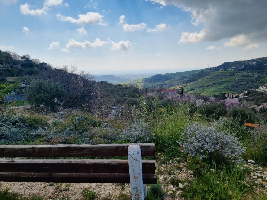 Detached Villa For Sale  in  Episkopi