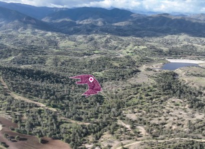 Agia Marina, Nicosia Agricultural Field For Sale | WW30916