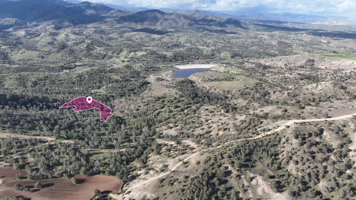 Animal breeding field in Agia Marina Xyliatou, Nicosia