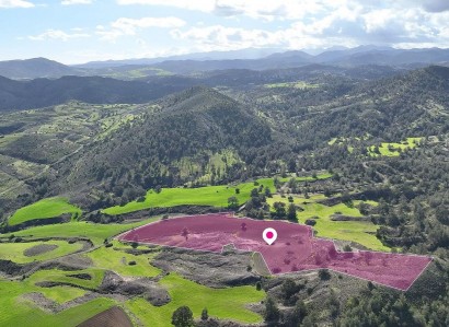 Agia Marina, Nicosia Agricultural Field For Sale | WW30918