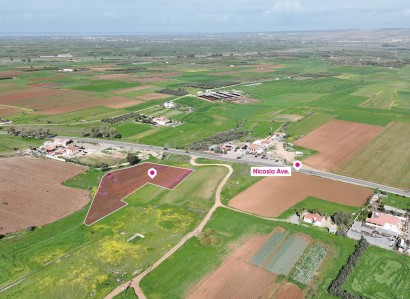 Peristerona, Nicosia Agricultural Field For Sale | WW30919