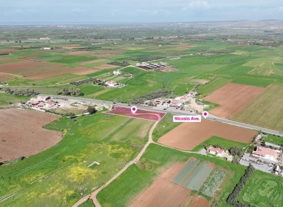 Peristerona, Nicosia Agricultural Field For Sale | WW30920
