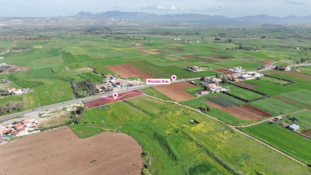 (Share) Agricultural field in Peristerona, Nicosia