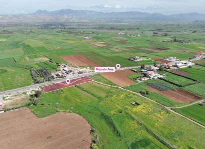 Peristerona, Nicosia Agricultural Field For Sale | WW30920