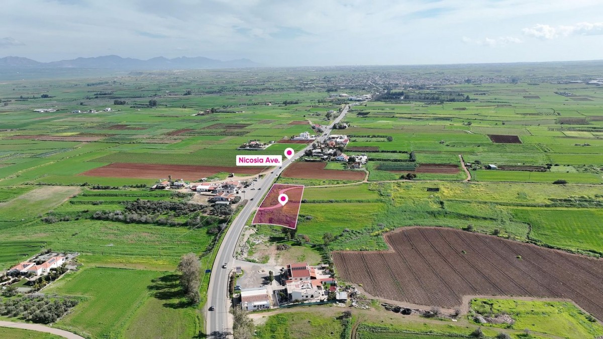 (Share) Agricultural field in Peristerona, Nicosia