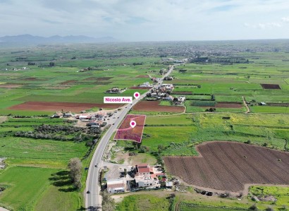 Peristerona, Nicosia Agricultural Field For Sale | WW30920