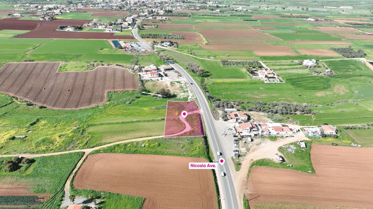 (Share) Agricultural field in Peristerona, Nicosia