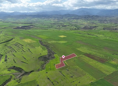 Peristerona, Nicosia Agricultural Field For Sale | WW30921