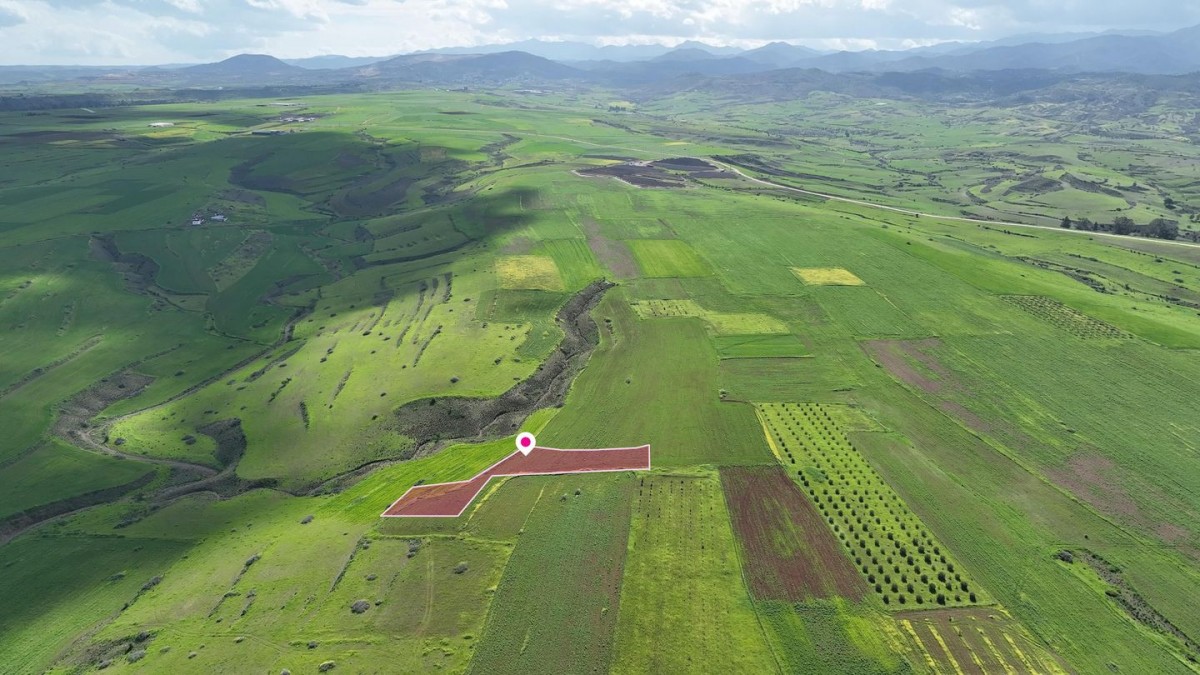 Animal Breeding field in Peristerona, Nicosia