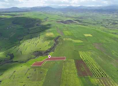 Peristerona, Nicosia Agricultural Field For Sale | WW30921