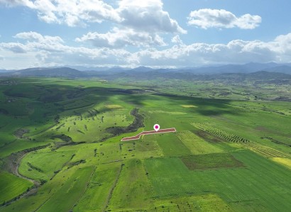 Peristerona, Nicosia Agricultural Field For Sale | WW30921