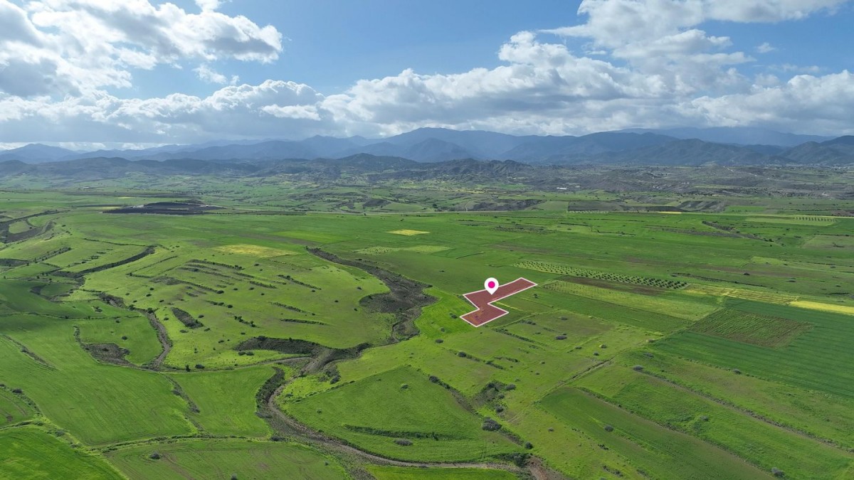 Animal Breeding field in Peristerona, Nicosia