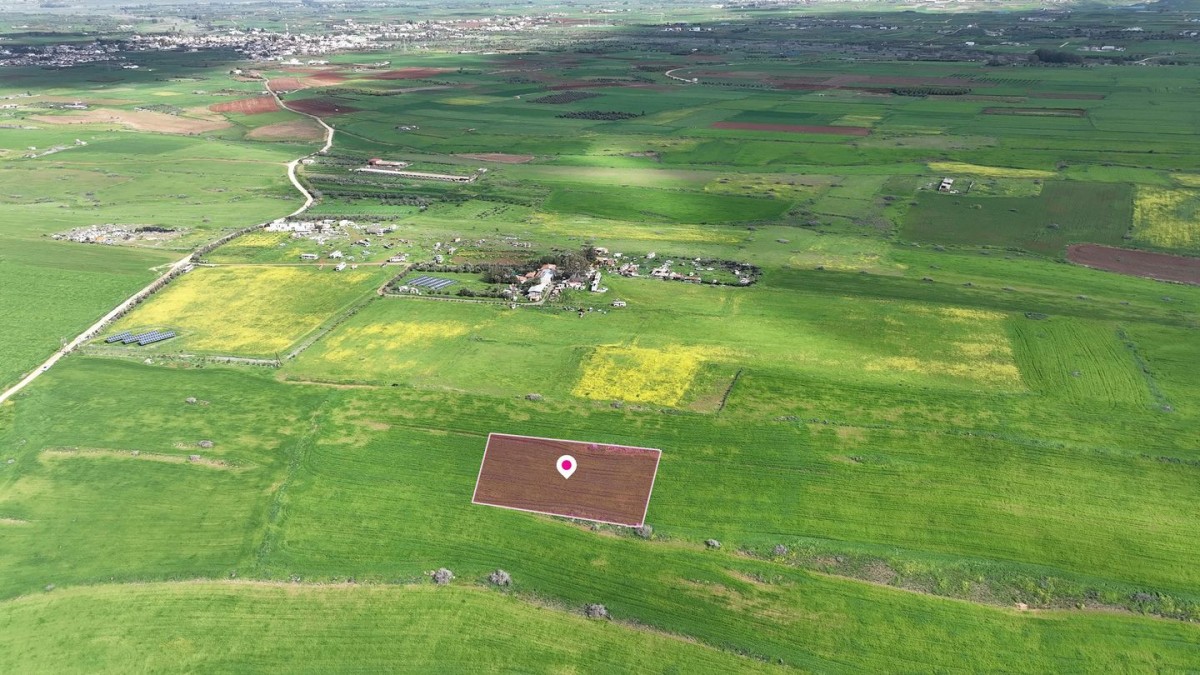 Peristerona, Nicosia Agricultural Field For Sale | WW30922