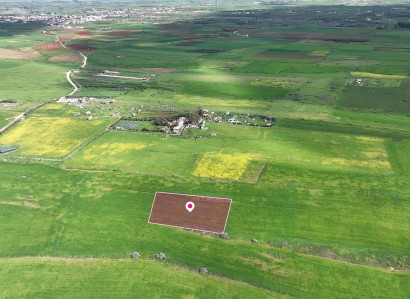 Peristerona, Nicosia Agricultural Field For Sale | WW30922